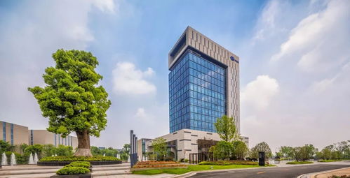 赶超马云 余杭大健康产业的崛起及其与每个人的紧密关联